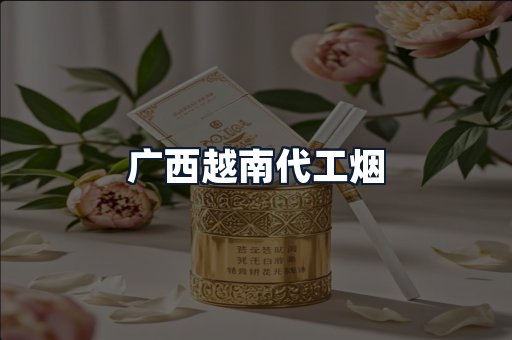 广西越南代工烟